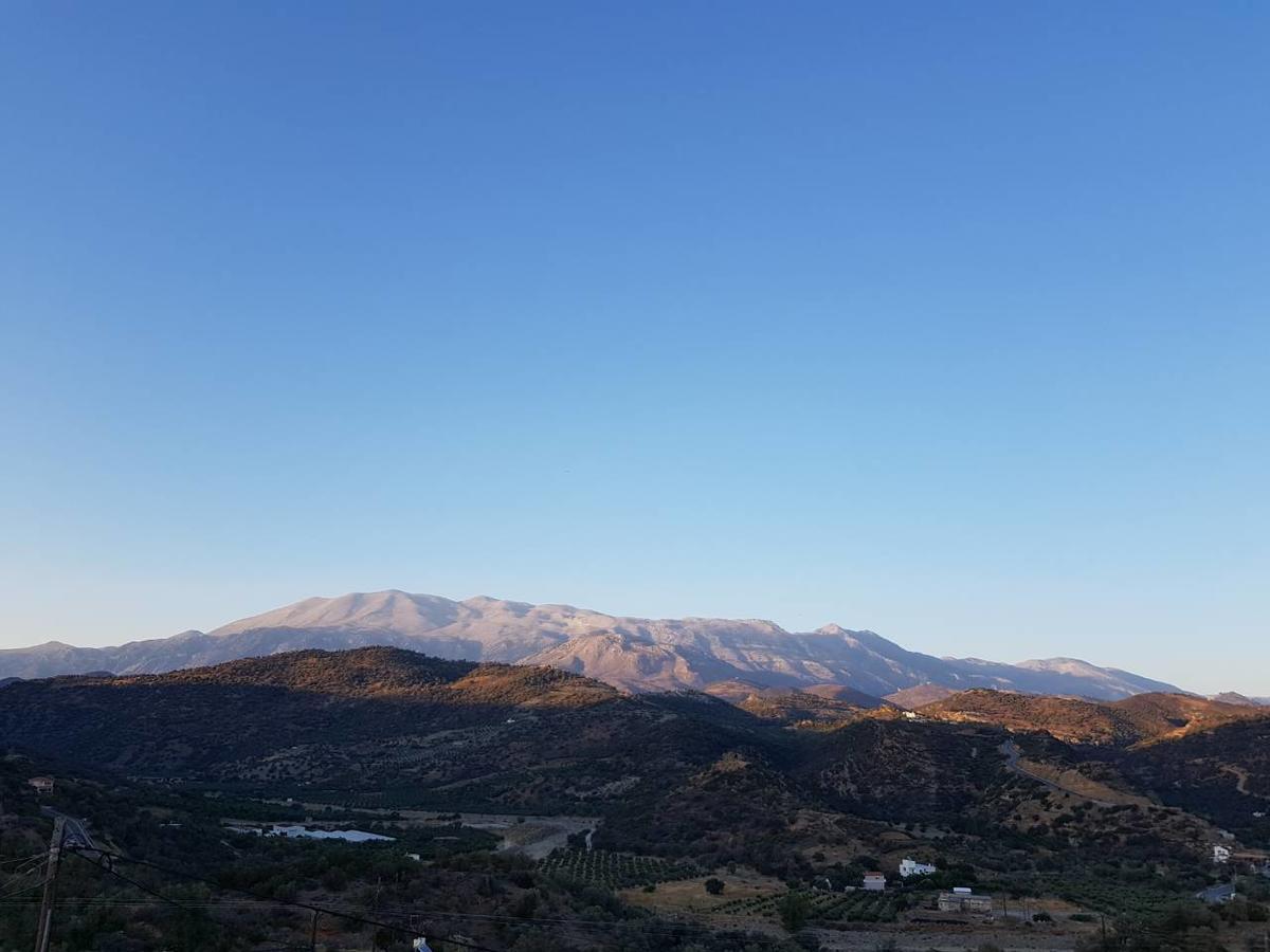 Creta Star Apartments أغيا غاليني المظهر الخارجي الصورة